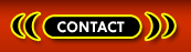 Transsexuals Phone Sex Contact Jacksonville